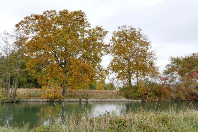 Il canale di Colmar, un collegamento pacifico