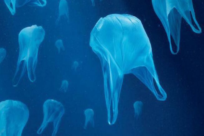 La Francia va in guerra contro i sacchetti di plastica