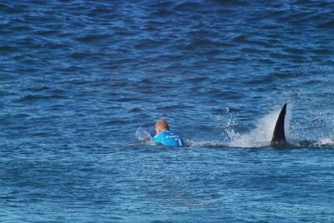 Mike Fanning attaccato da uno squalo bianco nel bel mezzo di una competizione