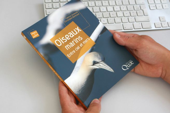Il libro per sapere tutto sugli uccelli marini