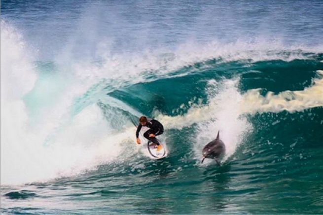 Soli Bailey naviga con un delfino Soli Bailey naviga con un delfino