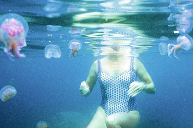 Nuotare con le meduse