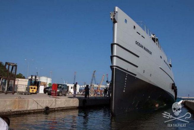 Il Guerriero dell'Oceano, la nuova motovedetta di Sea Shepherd