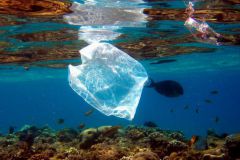 Inquinamento plastico