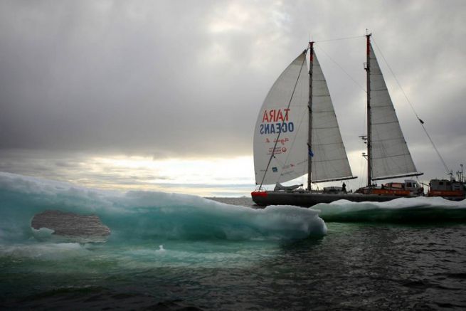 Tara sta navigando sotto spinnaker in Antartide