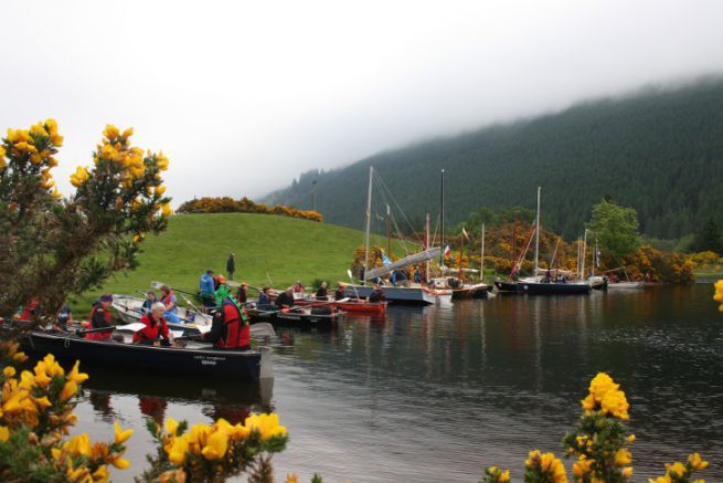 La flotta di SailCaledonia in mezzo alla ginestra, sotto la nebbia scozzese