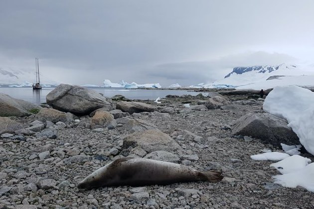 Avventure e disavventure in Antartide, un equipaggiamento di sicurezza difettoso