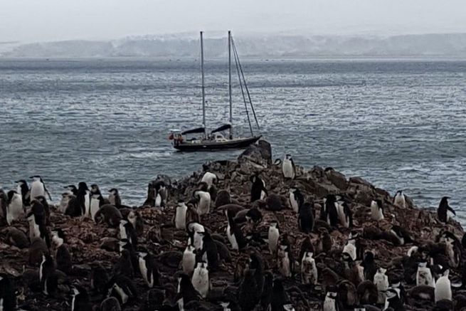 Avventure e disavventure in Antartide: come evitare di salire a bordo di una barca a vela mal preparata?