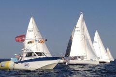 Giro dei porti del Morbihan 2019