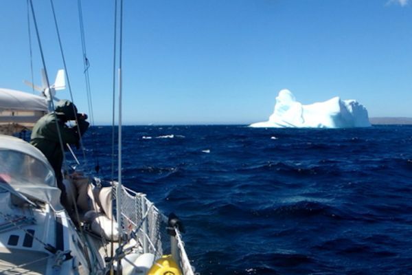 Iceberg: dove possono incrociare le nostre barche?