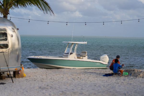 Boston Whaler 250 Dauntless, una barca da pesca adatta alle famiglie