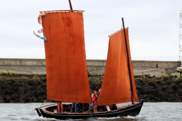 Jean et Jeanne: un sinago emblema del Golfo di Morbihan, simbolo del passato e del futuro