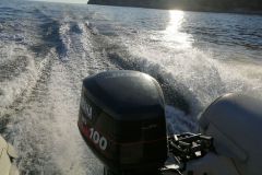 Una versione del Taemup a partire da gennaio 2027