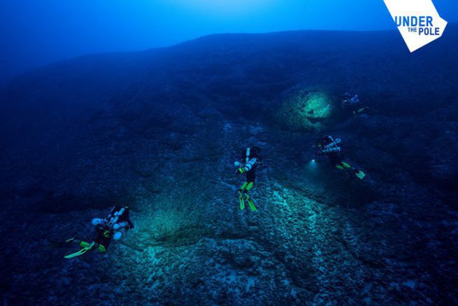 Sotto il Polo III: immersione profonda nel cuore dei Gambiers