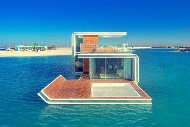 Il cavalluccio marino galleggiante