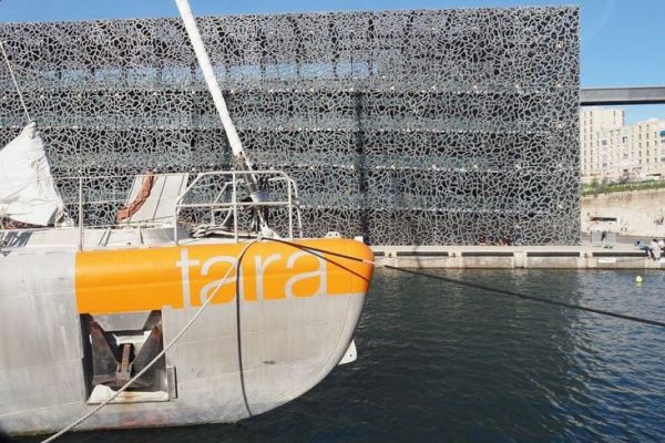 Tara, durante la sua traversata del Mediterraneo