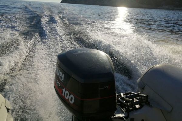 Una versione del Taemup a partire da gennaio 2027