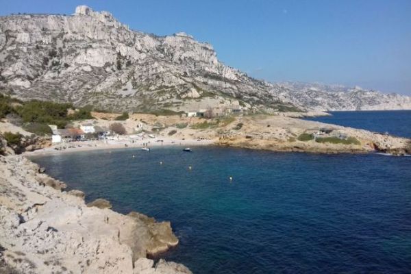 La tutela della posidonia tra diritto, ambiente e contraddizioni